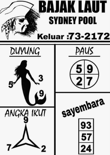 SYAIR SDY VIP
